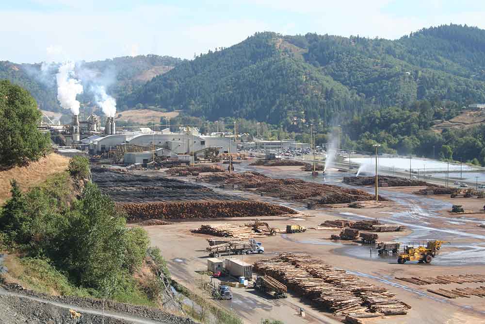 Roseburg Announces Massive Investment