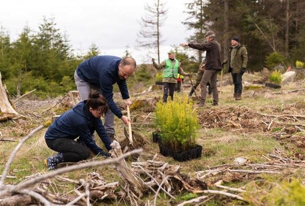 Mercer Launches ‘Growing Forests – Growing A Future’ Program